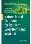 Research paper thumbnail of Forest Landscape Restoration as a NbS Strategy for Achieving Bonn Challenge Pledge: Lessons from India’s Restoration Efforts