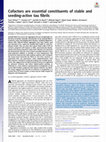 Research paper thumbnail of Cofactors are essential constituents of stable and seeding-active tau fibrils
