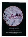 Research paper thumbnail of ALIMENTACIÓN Y NUTRICIÓN DE LA POBLACIÓN ARQUEOLÓGICA DE TUNJA