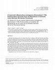 Research paper thumbnail of Un diente de cría de mamut (Mammuthus primigenius Blumenbach 1799, Proboscidea) procedente del Musteriense de la Cueva de la Arbreda (Serinyà, NE de la Península Ibérica)