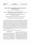 Research paper thumbnail of Summer fish larval assemblages and station groups in the northern Aegean Sea