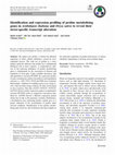 Research paper thumbnail of Identification and expression profiling of proline metabolizing genes in Arabidopsis thaliana and Oryza sativa to reveal their stress-specific transcript alteration