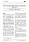 PDF) Modelling the complexity of interconnected energy systems at