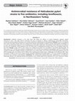 Research paper thumbnail of Antimicrobial resistance of Helicobacter pylori strains to five antibiotics, including levofloxacin, in Northwestern Turkey
