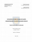 Tesis Flotacion de cobre soluble en planta concentradora.Image.Marked - Document Preview