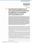 Research paper thumbnail of Squamate bone taphonomy: A new experimental framework and its application to the Natufian zooarchaeological record