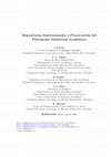 Research paper thumbnail of Repositorios Institucionales y Preservación del Patrimonio Intelectual Académico