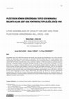 Research paper thumbnail of PLEİSTOSEN DÖNEM GÜRGÜRBABA TEPESİ 028 NUMARALI BULUNTU ALANI (GBT-028) YONTMATAŞ TOPLULUĞU, ERCİŞ-VAN / LITHIC ASSEMBLAGES OF LOCALITY 028 (GBT-028) FROM PLEISTOCENE GÜRGÜRBABA HILL, ERCİŞ -VAN