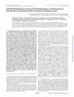 Research paper thumbnail of p38 MAPK Regulates Group IIa Phospholipase A2 Expression in Interleukin-1beta -stimulated Rat Neonatal Cardiomyocytes