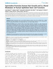 Research paper thumbnail of Spermidine promotes human hair growth and is a novel modulator of human epithelial stem cell functions