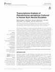 Research paper thumbnail of Transcriptome analysis of the Pseudomonas aeruginosa response to iron