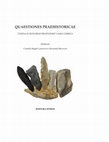 Research paper thumbnail of Florian Mihail, Mihaela Iacob, D. Paraschiv, The Gumelniţa lithic material discovered at Slava Rusă (Tulcea County),in Quaestiones Praehistoricae (.) Studia in honorem Professoris Vasile Chirica, (eds Cornelia Magda Lazarovici & Alexandru Berzovan), Editura Istros, Braila 2018, 231-249