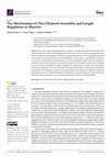 Research paper thumbnail of The Mechanisms of Thin Filament Assembly and Length Regulation in Muscles