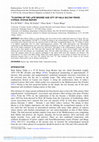 PDF) Tombs and Offering Pits at the Late Bronze Age Metropolis of