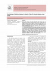 Research paper thumbnail of Reclaiming of historical piazza in Islamic Cairo Al-Hussein piazza case study
