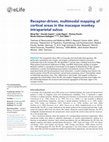 Research paper thumbnail of Receptor-driven, multimodal mapping of cortical areas in the macaque monkey intraparietal sulcus