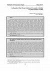 Research paper thumbnail of Gelişmekte Olan Piyasa Endeksleri Arasında Volatilite Yayılım Etkisinin Analizi
