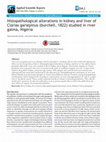 Research paper thumbnail of Histopathological alterations in kidney and liver of Clarias gariepinus (burchell, 1822) studied in river galma, Nigeria
