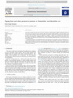 スキー LANGE RS SC 120 26.5cm PDF) The portable art of Mesolithic Europe