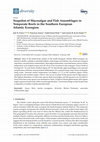 Research paper thumbnail of Snapshot of Macroalgae and Fish Assemblages in Temperate Reefs in the Southern European Atlantic Ecoregion