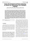 Research paper thumbnail of Surface Mo-Enrichment and Plasma Carburizing on Sintered Iron: Microstructure and Tribological Properties