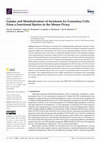 Research paper thumbnail of Uptake and Metabolization of Serotonin by Granulosa Cells Form a Functional Barrier in the Mouse Ovary
