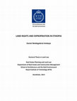 ＜EXTREME＞APEX -OVERDRIVE-18.5g PDF) Land Rights and Expropriation in Ethiopia