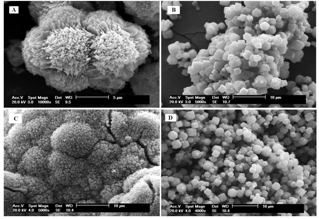 (PDF) Integrated synthesis of zeolites 4A and Na–P1 using coal fly ash ...