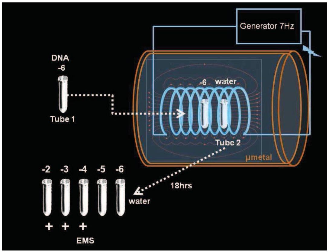 Free Download Spain 2024 Font, image size:1089x835