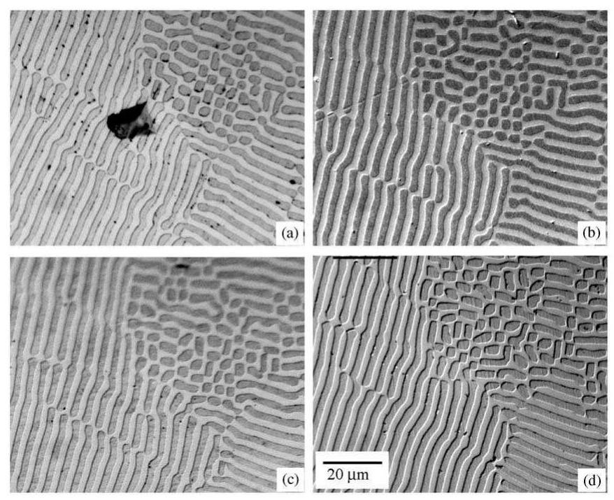 (PDF) Directional solidification, microstructure and properties of the ...