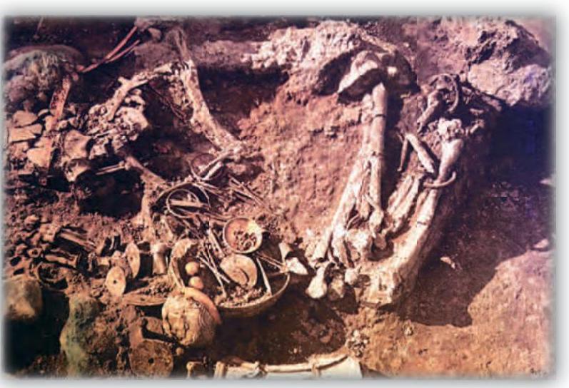 Nargiz Zokirova video