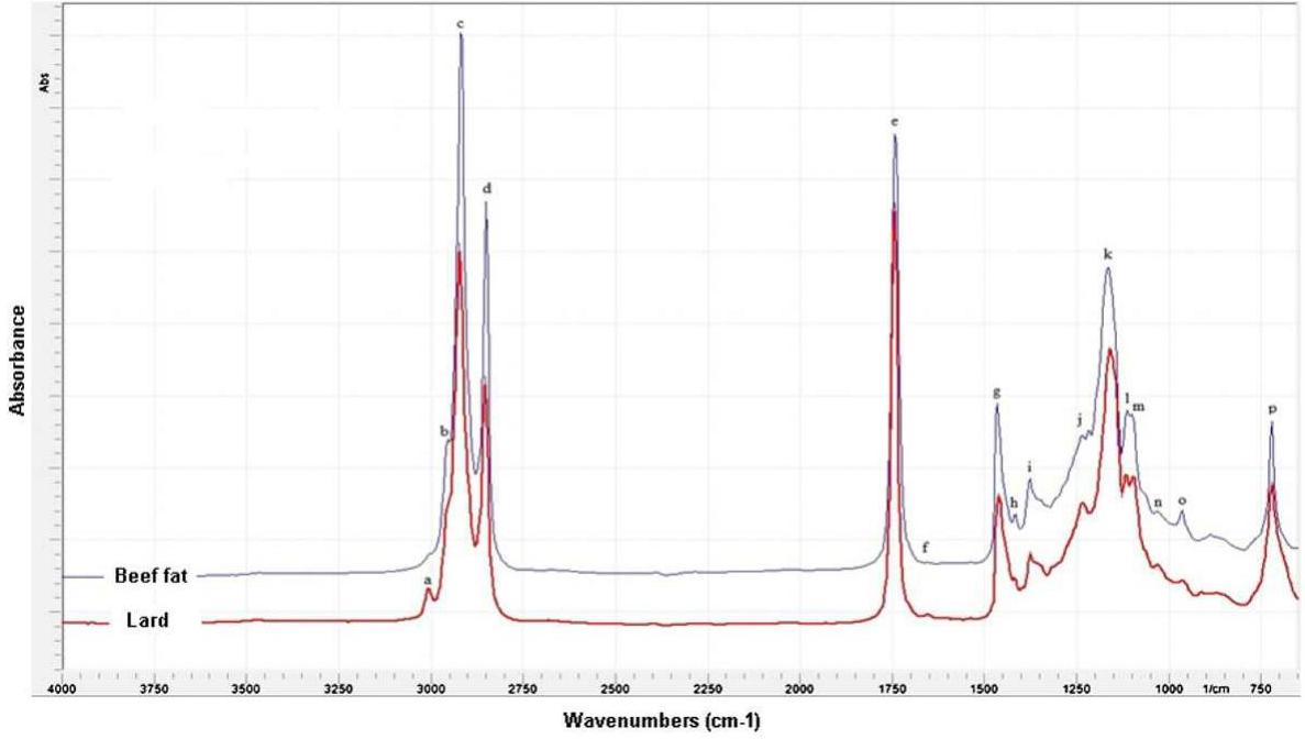 Meet Myron Lard: First to Investigate Soil Samples in Colfax, Louisiana,  and East Palestine, Ohio, image size:1187x672