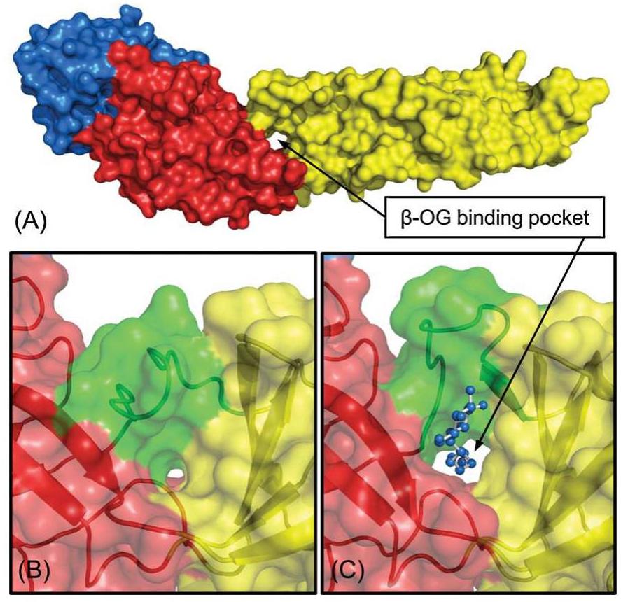 PDF) In silico screening of small molecule libraries using