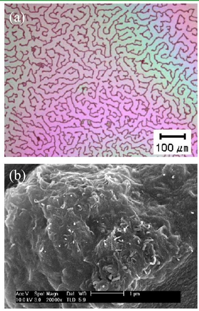 PDF) Sol-gel process applications: A mini-review