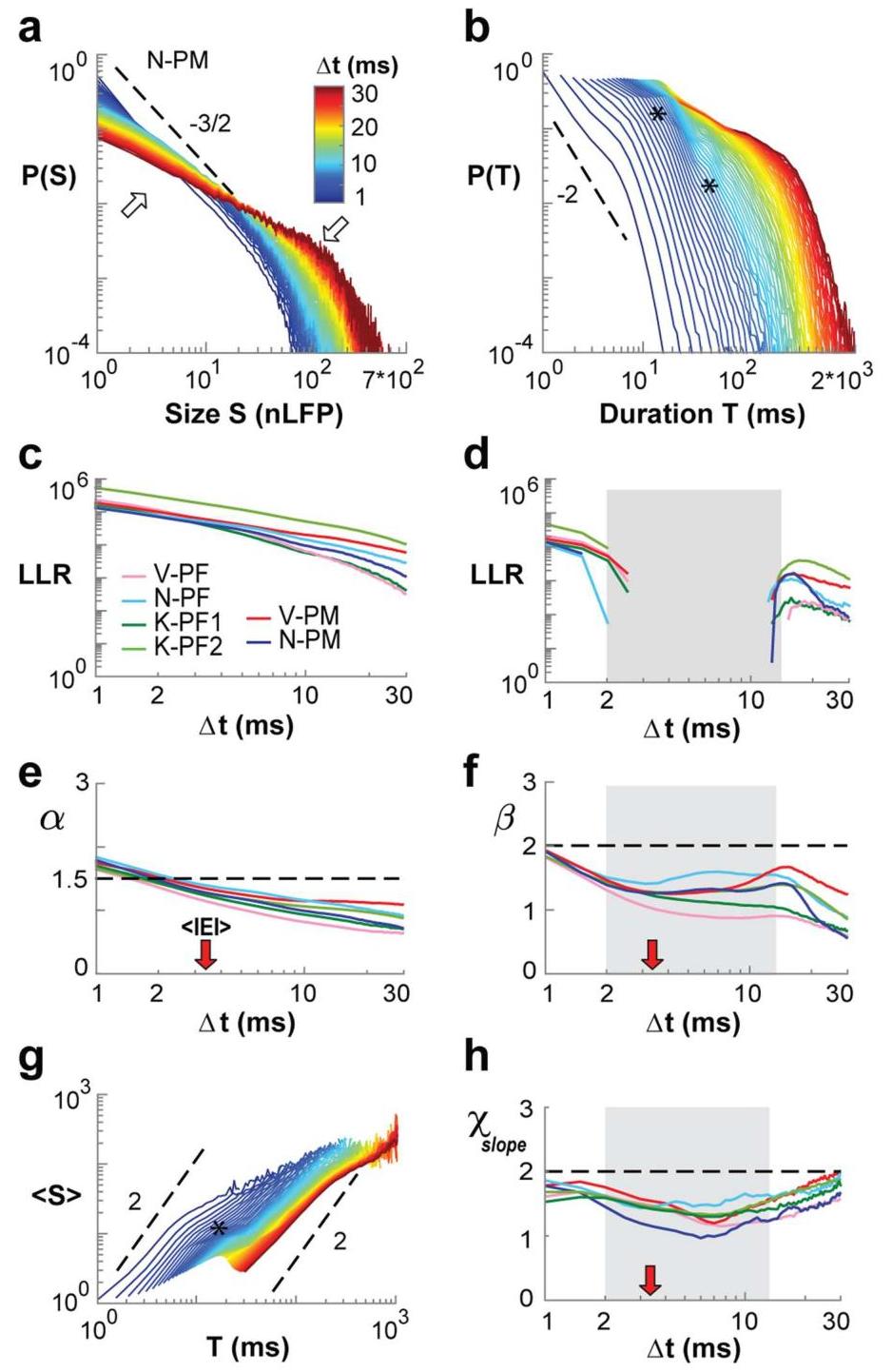 (PDF) The scale-invariant, temporal profile of neuronal avalanches in ...