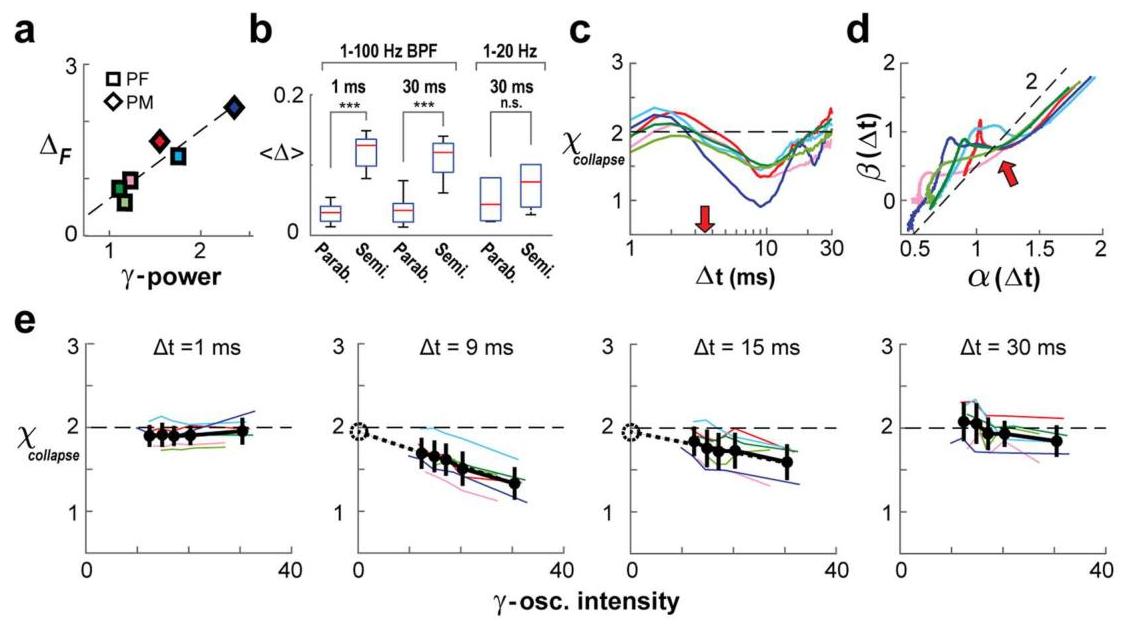 (PDF) The scale-invariant, temporal profile of neuronal avalanches in ...