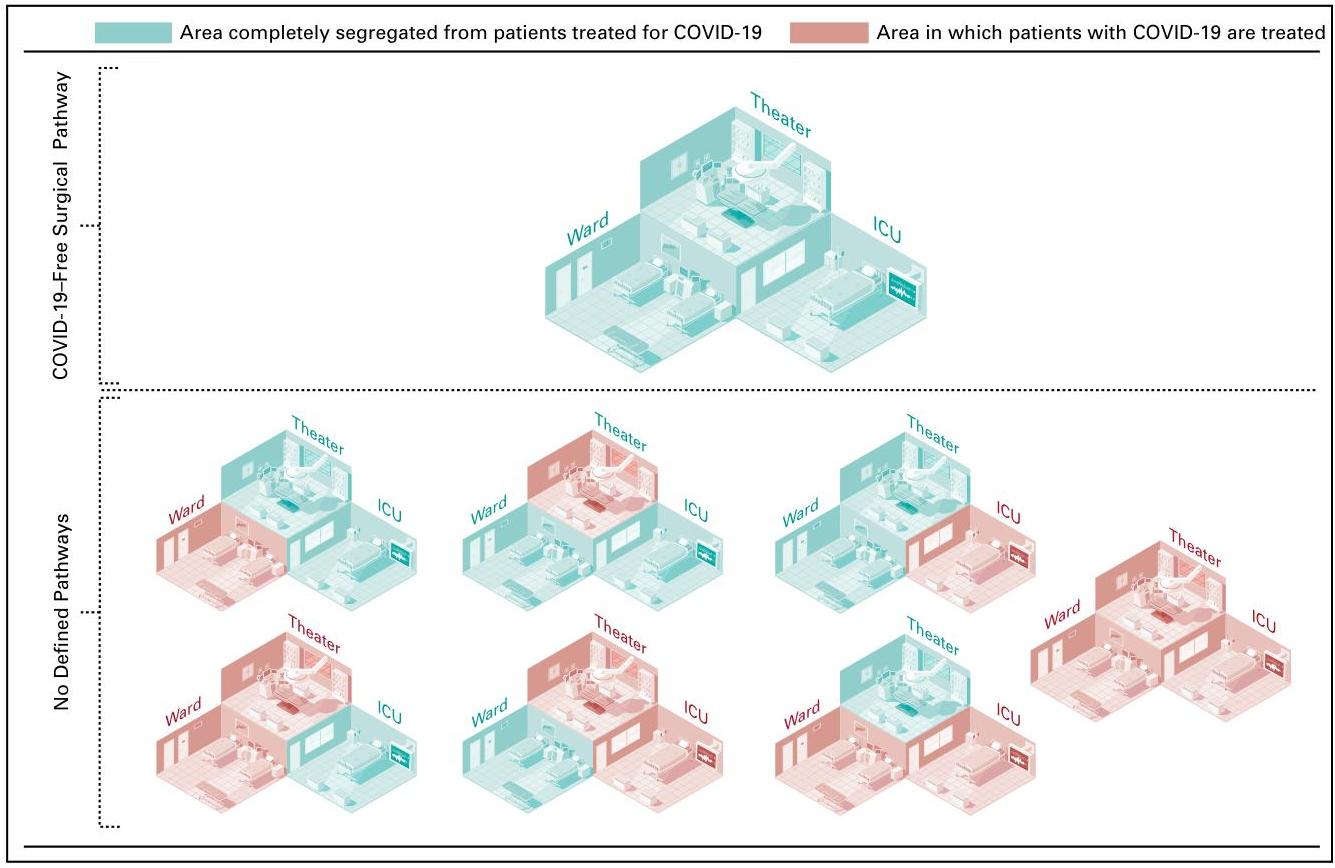 (PDF) Elective Cancer Surgery in COVID-19-Free Surgical Pathways During ...