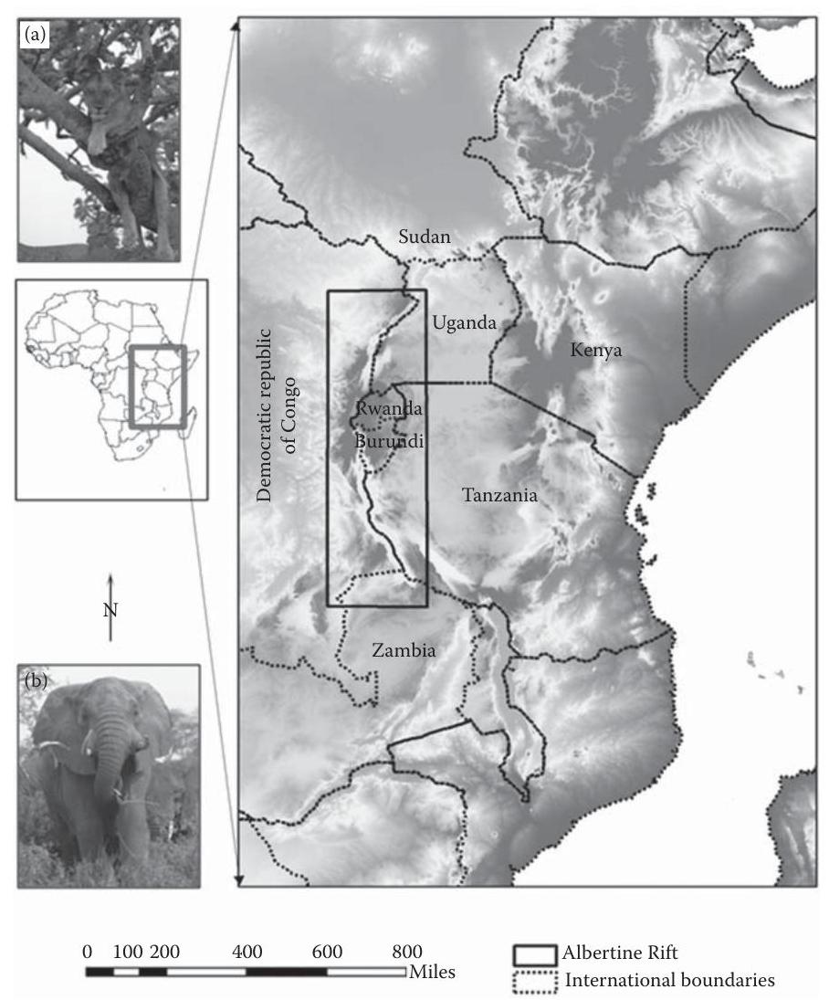 (PDF) Remote Sensing for Biodiversity Conservation of the Albertine ...