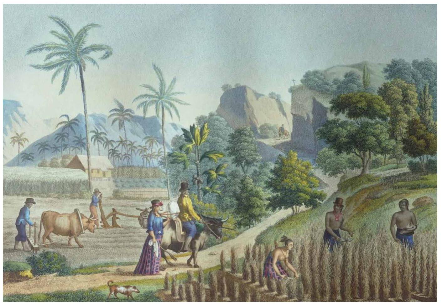 Chronos - Volume 2 - ESTRATTO by Gruppo Editoriale Raffaello - Issuu, image size:1411x973