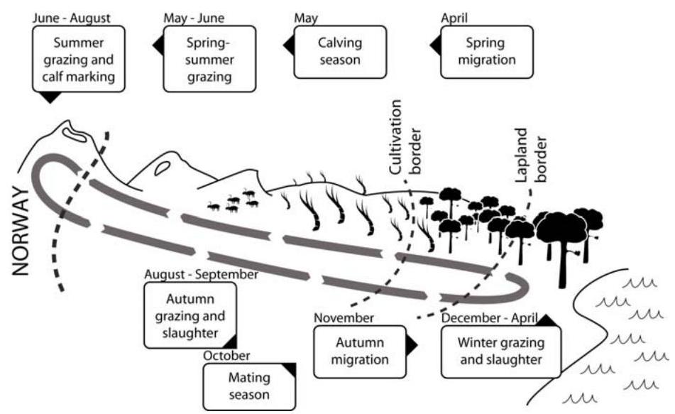 (PDF) Traditional ecological knowledge among reindeer herders in ...
