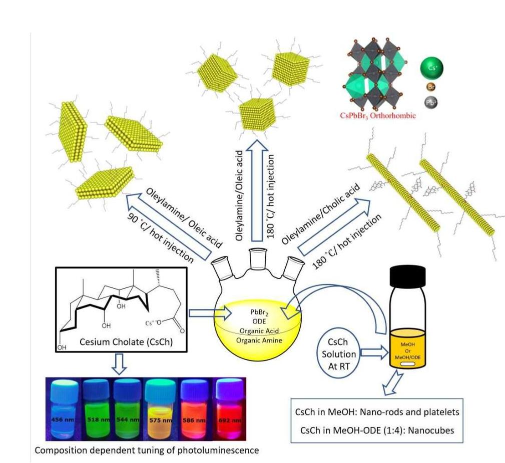 (PDF) Precursor-Mediated Synthesis of Shape-Controlled Colloidal ...