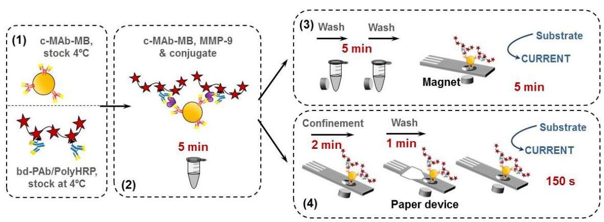 (PDF) Paper microfluidics on screen-printed electrodes for simple ...